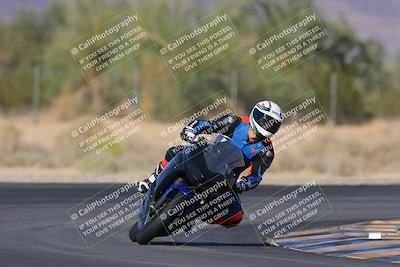 media/Nov-11-2023-SoCal Trackdays (Sat) [[efd63766ff]]/Turn 7 (2pm)/